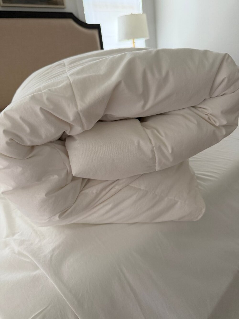 Company Store LoftAIRE Down Alternative Light Warmth Comforter, White, King
